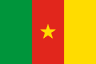 Flag of Cameroon