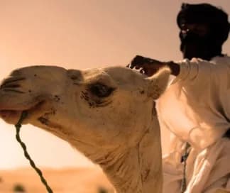 Mauritania