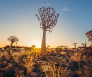 Namibia