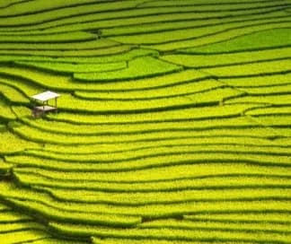 Philippines