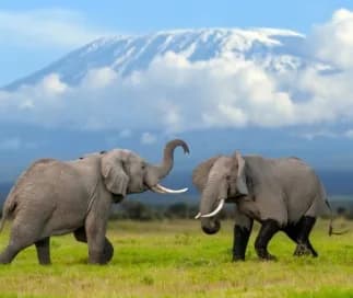 Tanzania